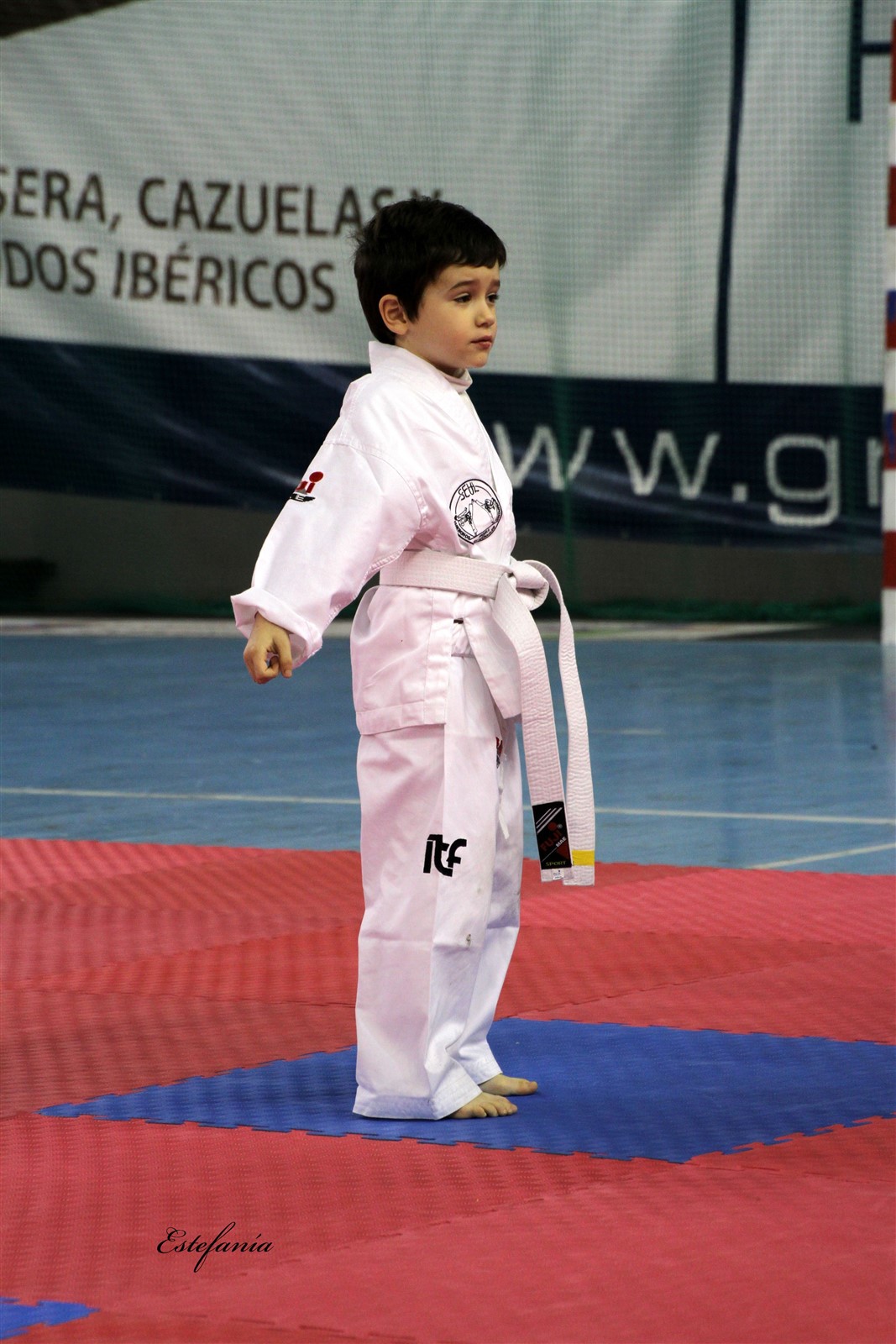 Taekwondo (84).jpg